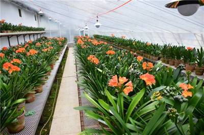 吉林省長春市:全國推進農業(yè)現代化優(yōu)秀城市案例